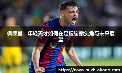 佩德里：年轻天才如何在足坛崭露头角与未来展望